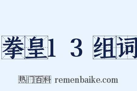 拳皇13组词是什么意思的图片